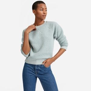 NWT- Everlane ReNew Fleece Raglan Sweatshirt
